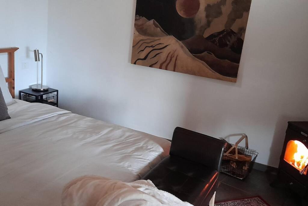 Casa Aguar: Acogedora Casa De Invitados En El Bosque Barrial Ngoại thất bức ảnh