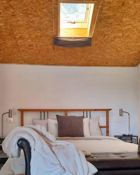 Casa Aguar: Acogedora Casa De Invitados En El Bosque Barrial Ngoại thất bức ảnh
